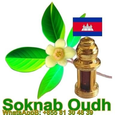 Soknab Oudh